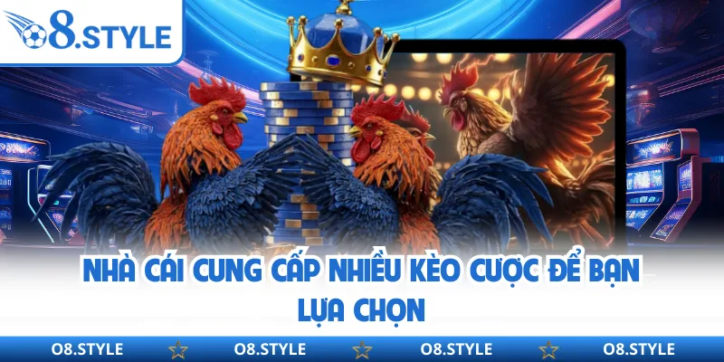 Nhà cái cung cấp nhiều kèo cược để bạn lựa chọn